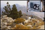 MQuake at the San Jacinto Fault Zone