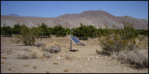 earthquake sensors