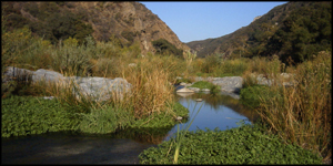 santa margarita ecological reserve